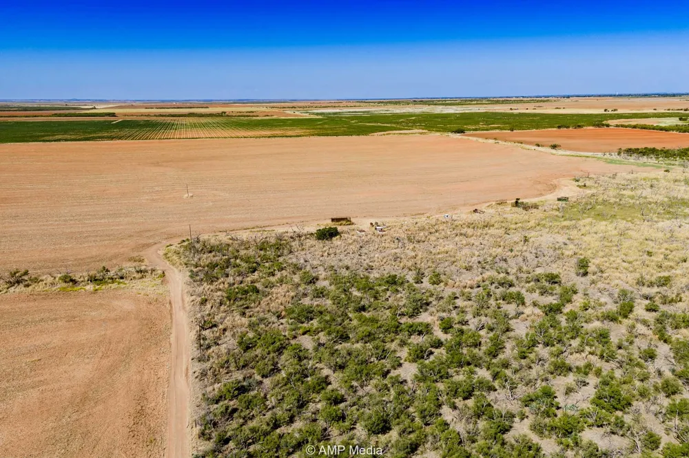 1504 CR 423 Rule, TX 79547