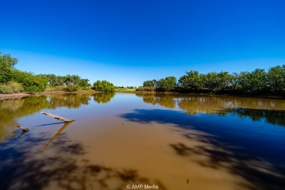 1504 CR 423 Rule, TX 79547