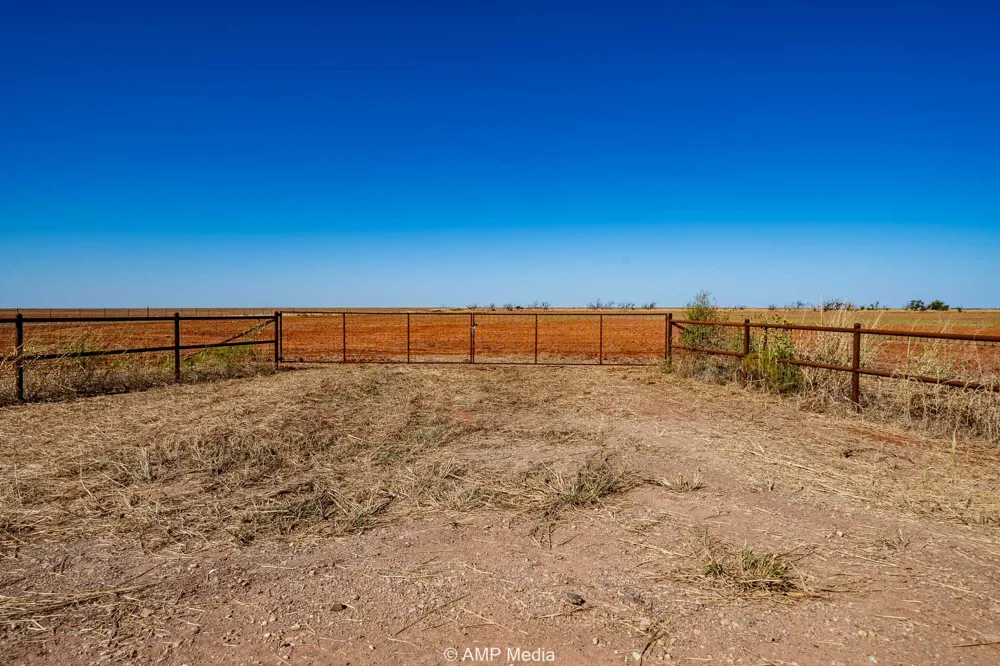 1504 CR 423 Rule, TX 79547