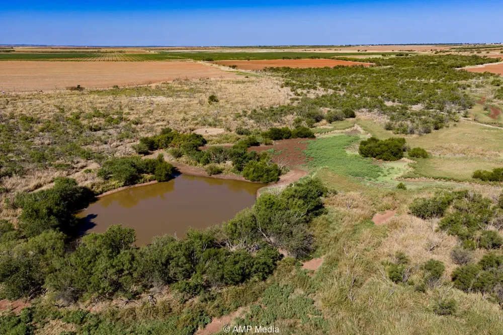 1504 CR 423 Rule, TX 79547