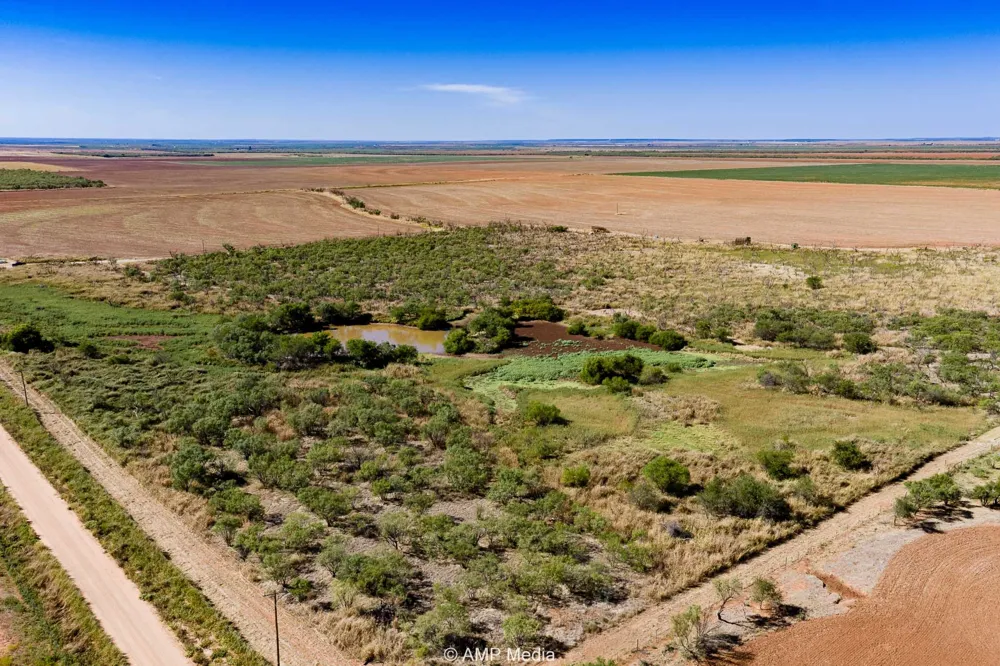 1504 CR 423 Rule, TX 79547