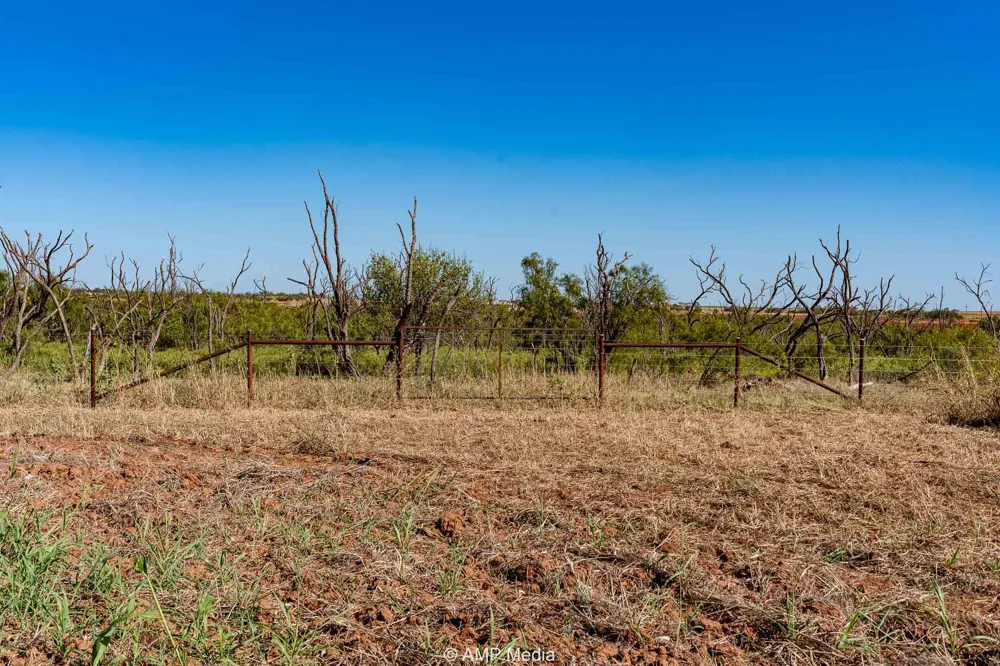 1504 CR 423 Rule, TX 79547