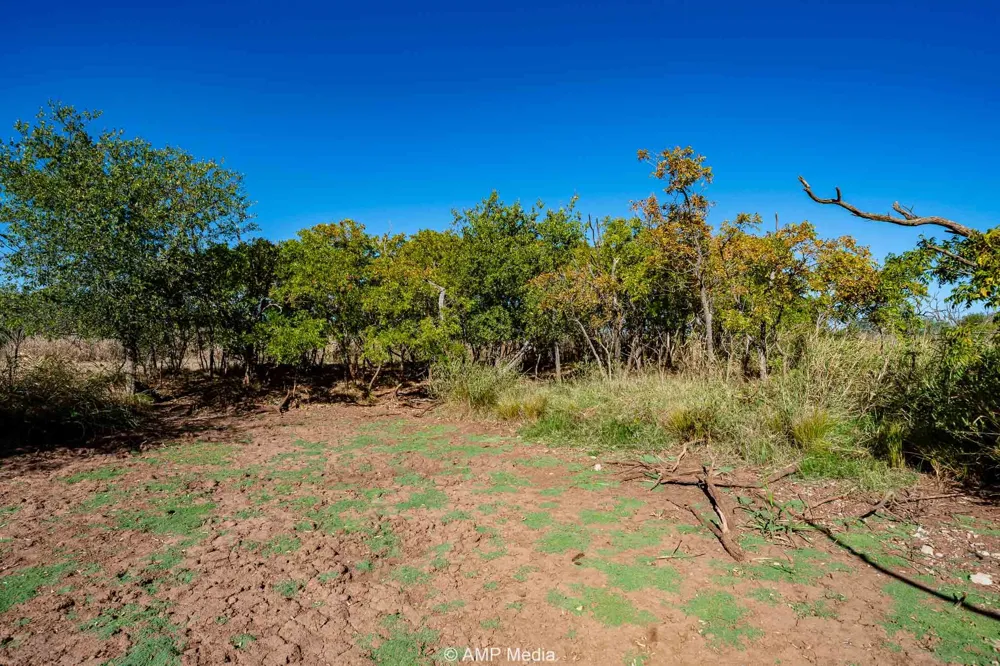 1504 CR 423 Rule, TX 79547