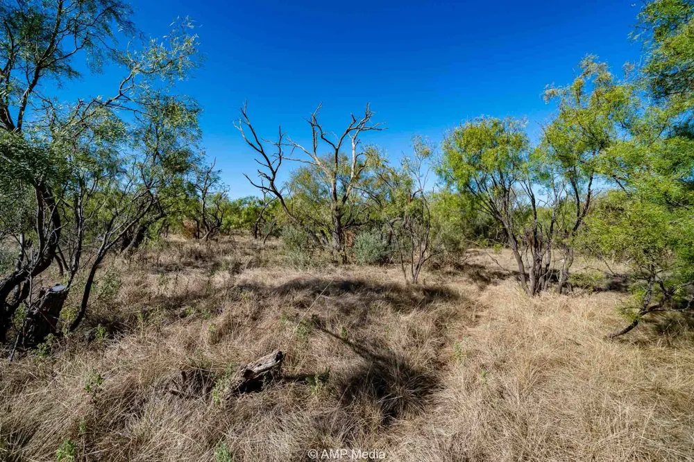 1504 CR 423 Rule, TX 79547