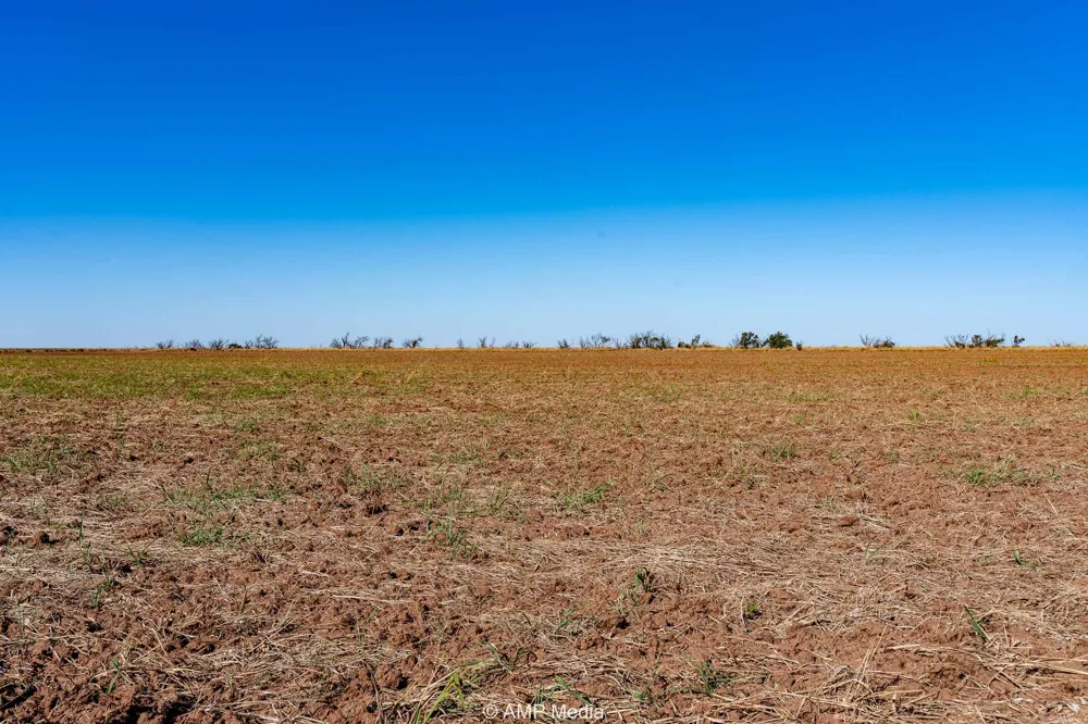 1504 CR 423 Rule, TX 79547