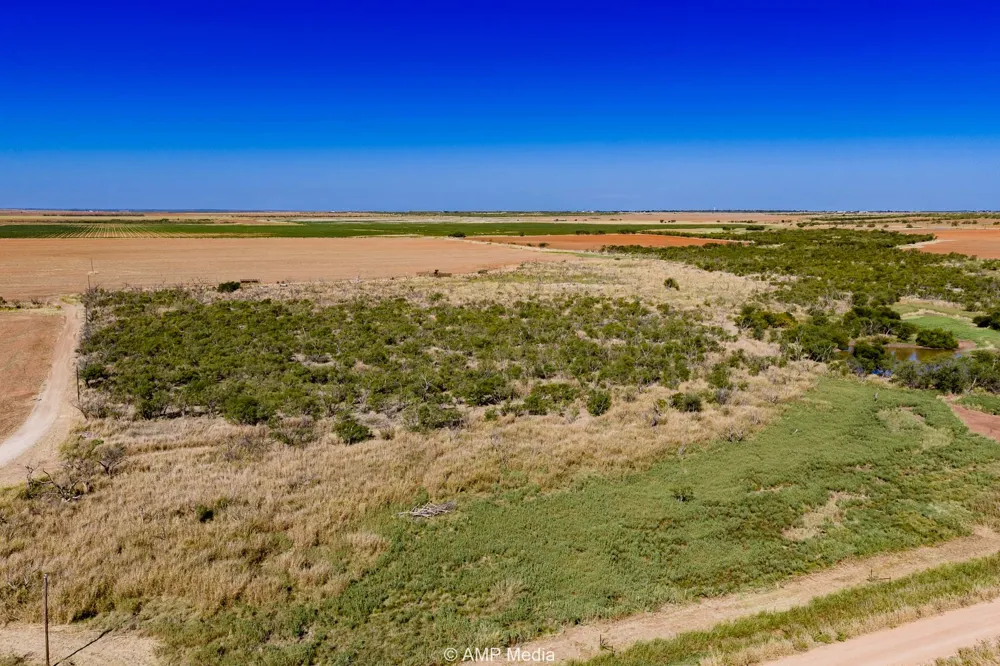 1504 CR 423 Rule, TX 79547