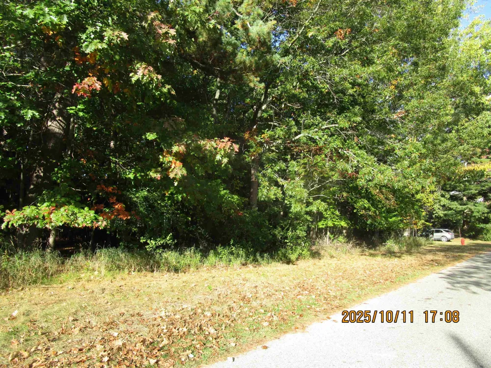 E Franklin Street Baldwin Township, MI 48730