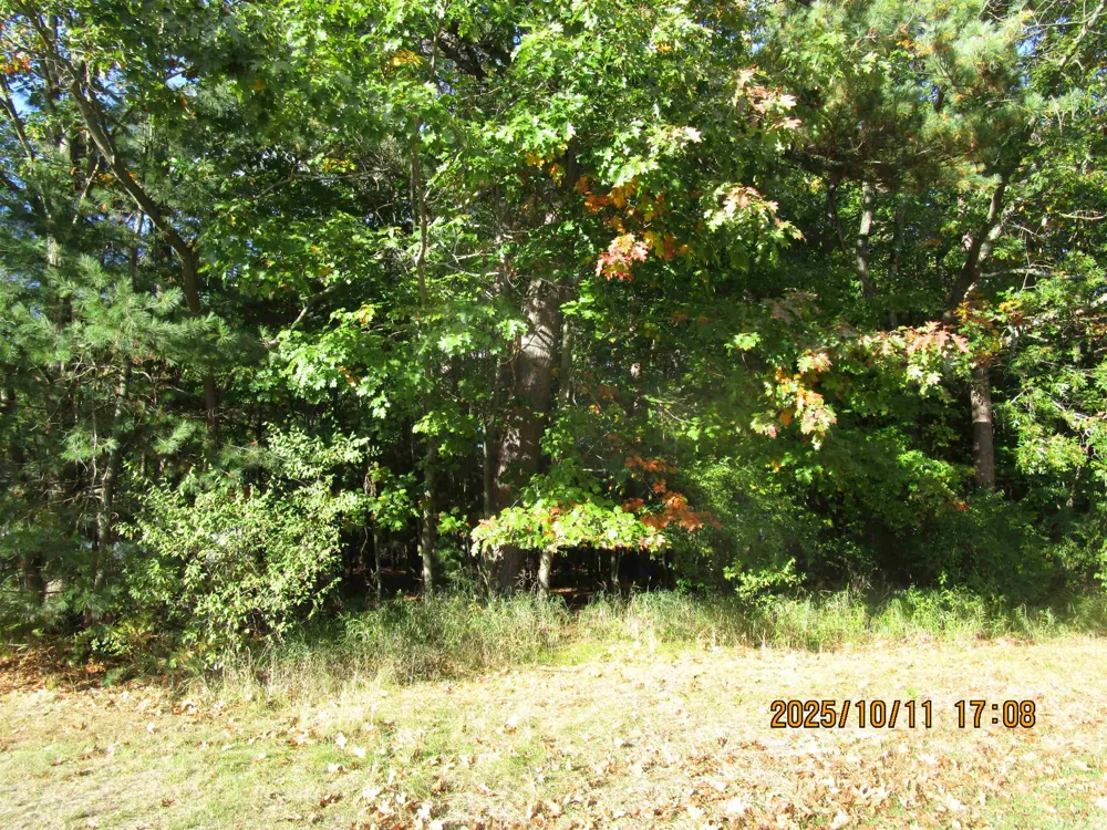 E Franklin Street Baldwin Township, MI 48730