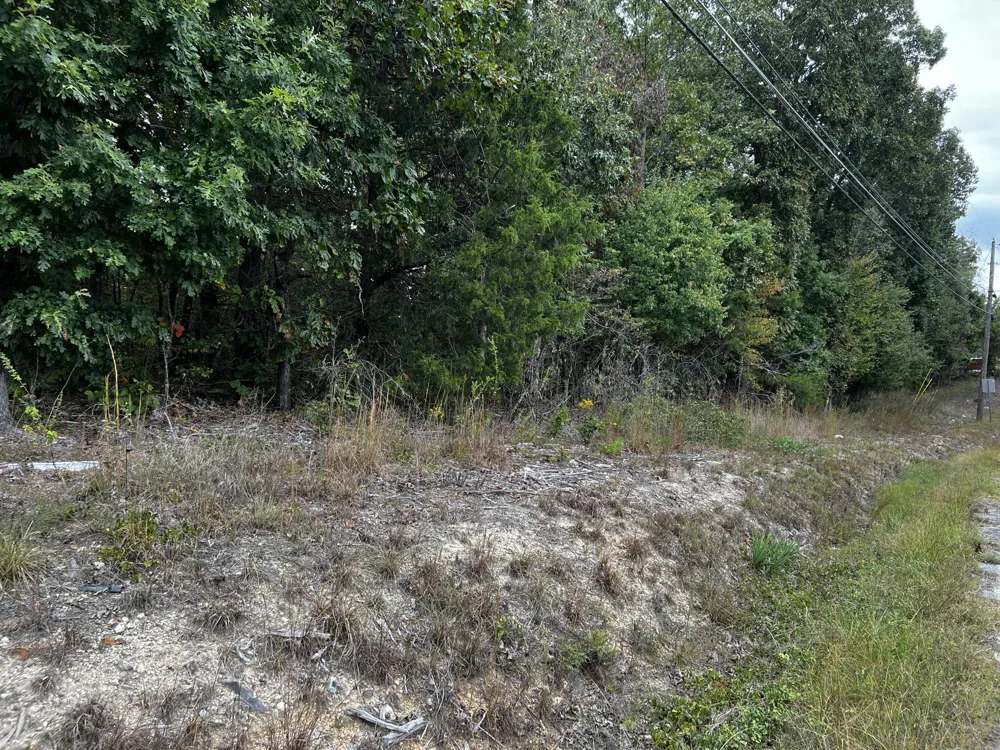 Bork Memorial Drive Ooltewah, TN 37363