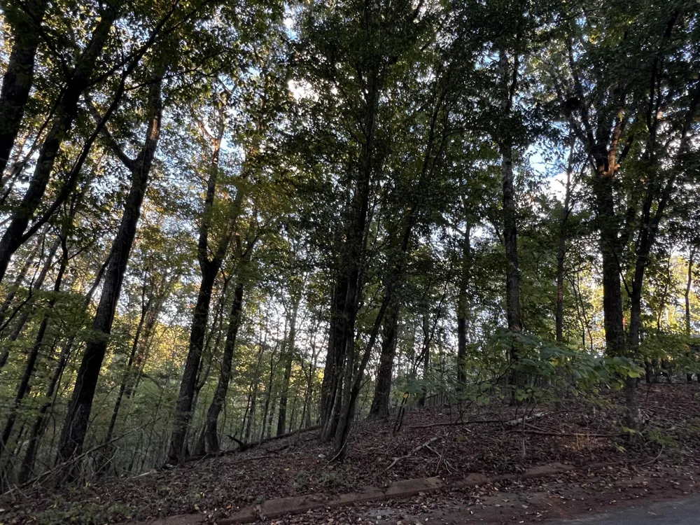 6604 Declaration Drive Hixson, TN 37343