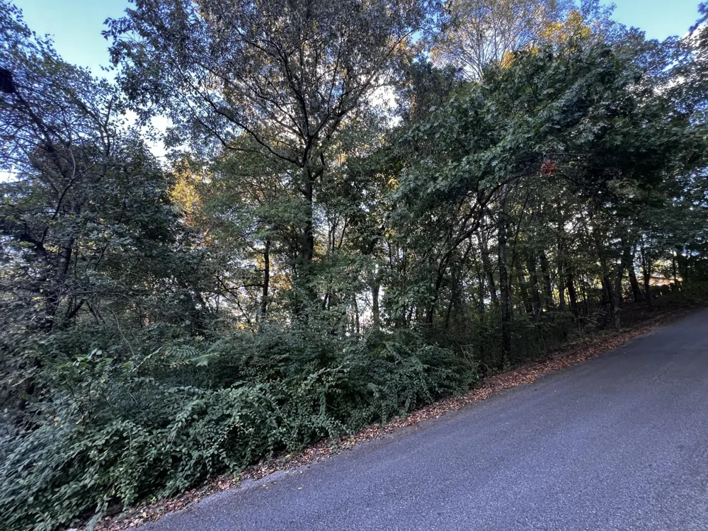 6604 Declaration Drive Hixson, TN 37343