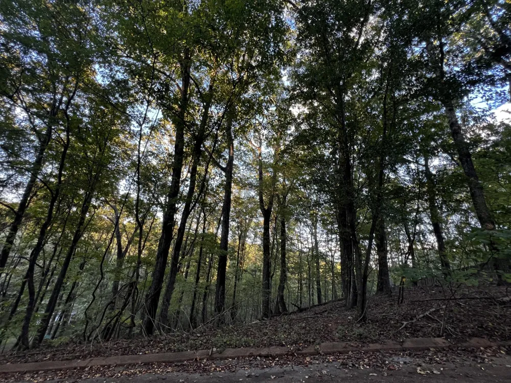 6604 Declaration Drive Hixson, TN 37343
