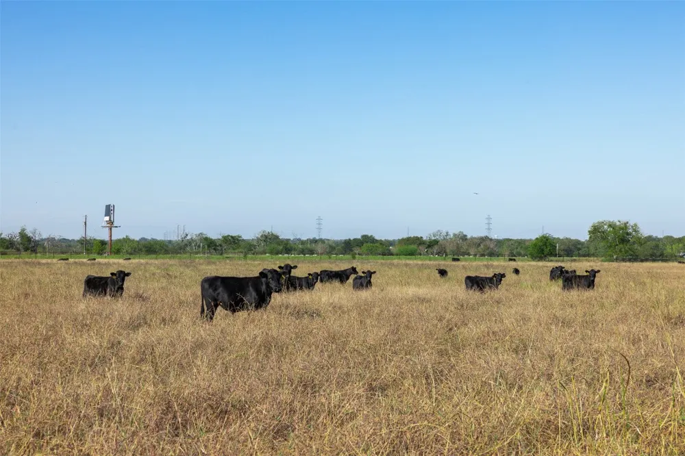 15350 San Marcos Highway Martindale, TX 78655