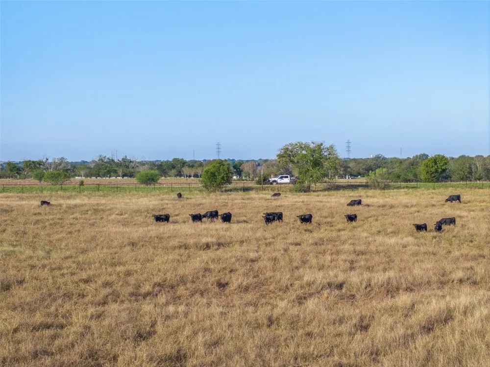 15350 San Marcos Highway Martindale, TX 78655