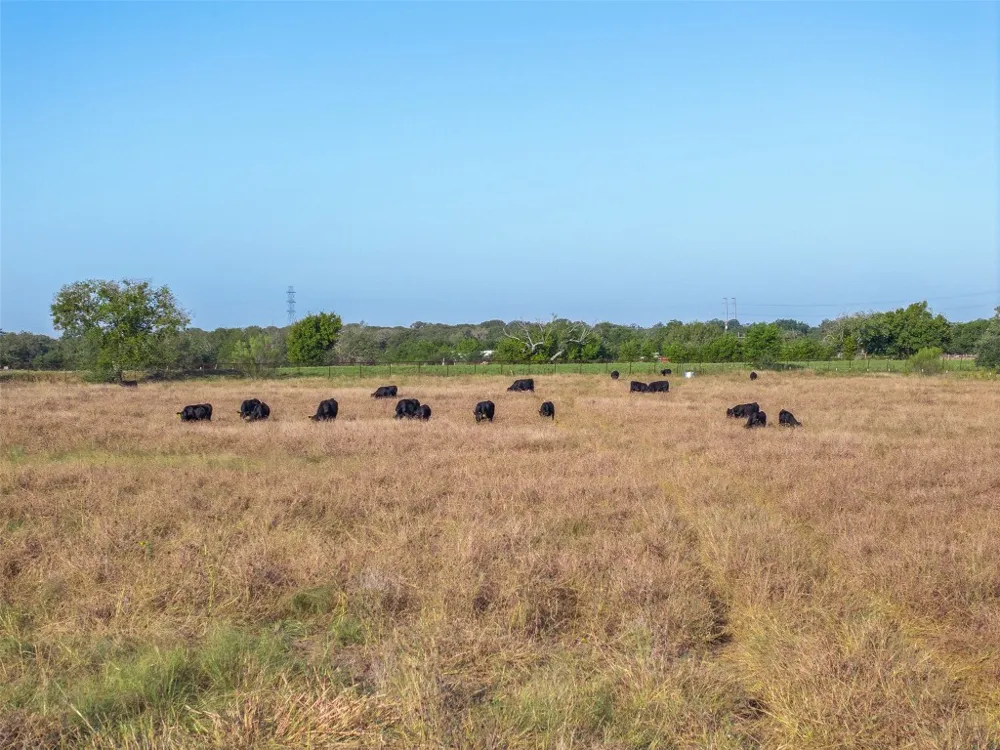 15350 San Marcos Highway Martindale, TX 78655