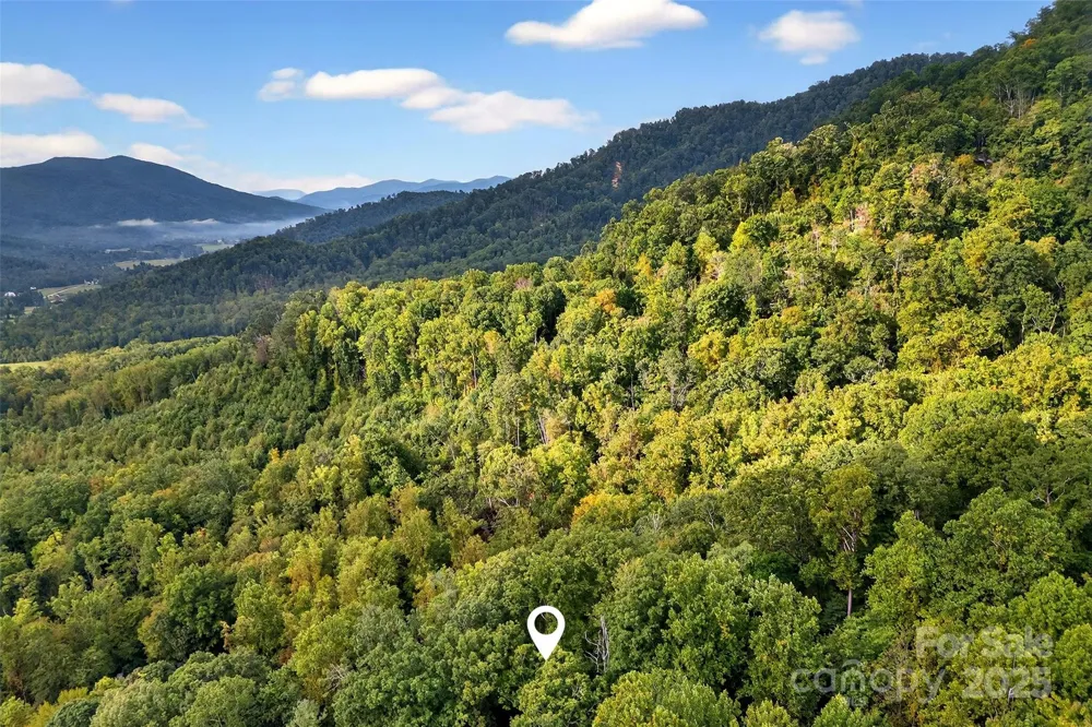 99999 Rocky Branch Trail Marion, NC 28752