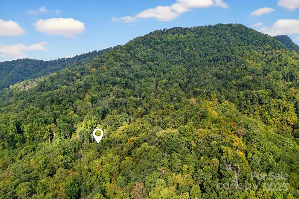 99999 Rocky Branch Trail Marion, NC 28752