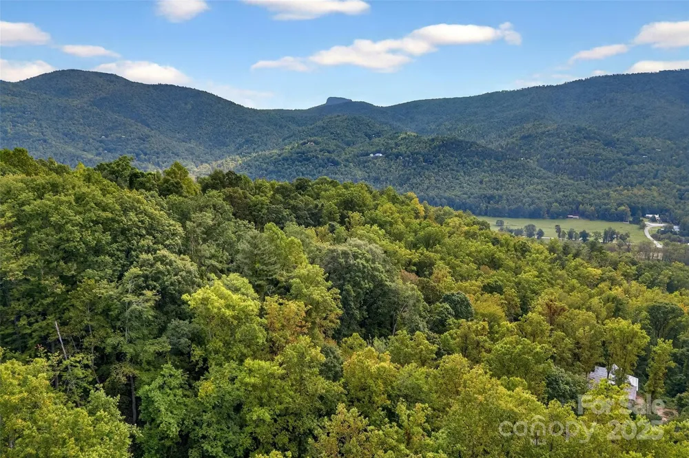 99999 Rocky Branch Trail Marion, NC 28752