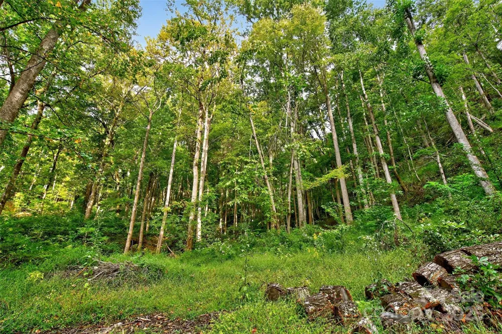 99999 Rocky Branch Trail Marion, NC 28752