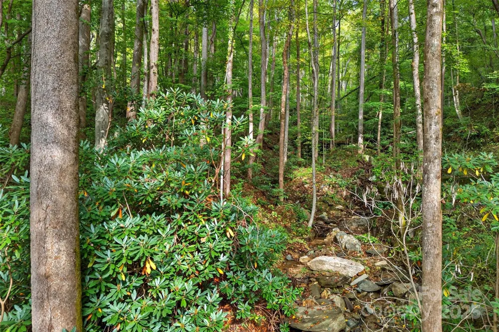 99999 Rocky Branch Trail Marion, NC 28752