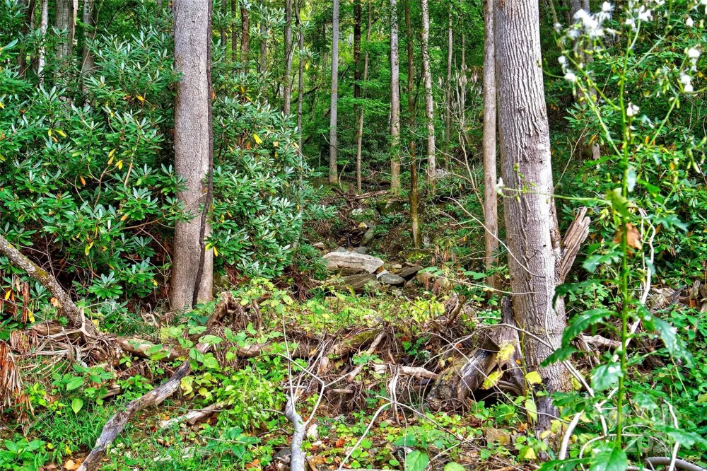 99999 Rocky Branch Trail Marion, NC 28752
