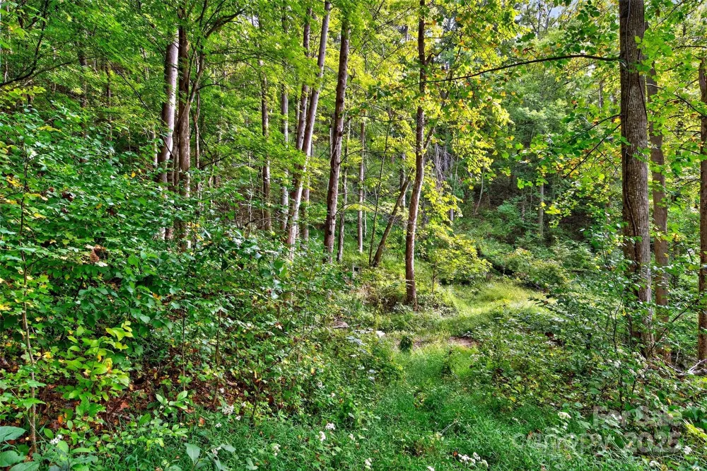 99999 Rocky Branch Trail Marion, NC 28752