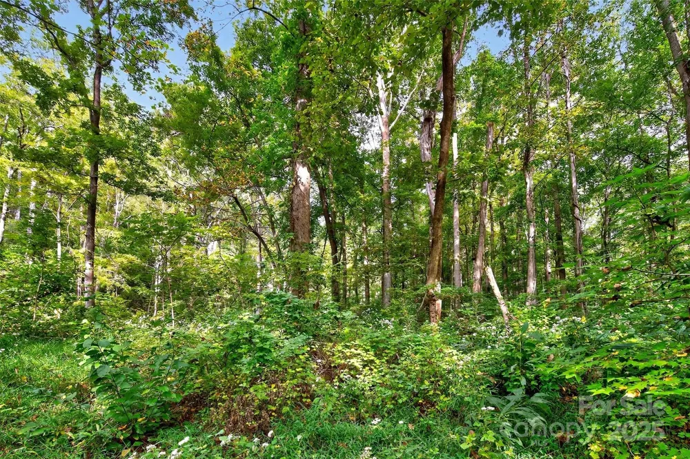 99999 Rocky Branch Trail Marion, NC 28752