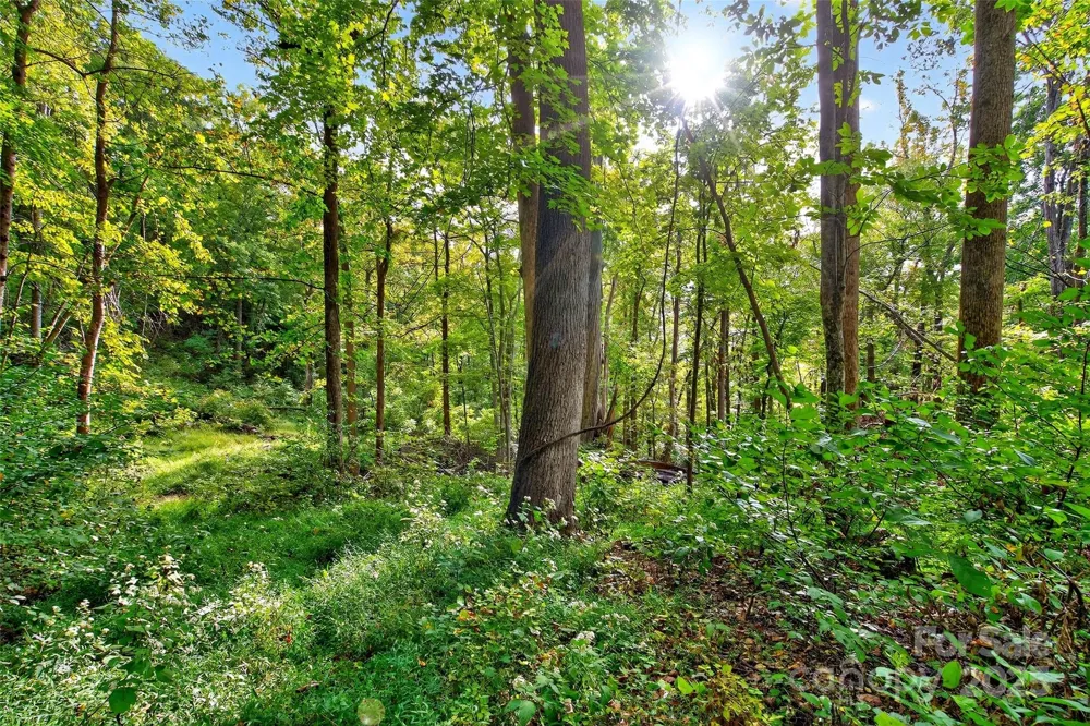 99999 Rocky Branch Trail Marion, NC 28752