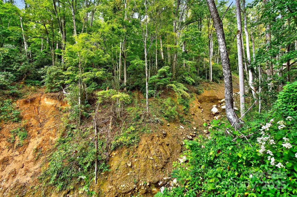 99999 Rocky Branch Trail Marion, NC 28752