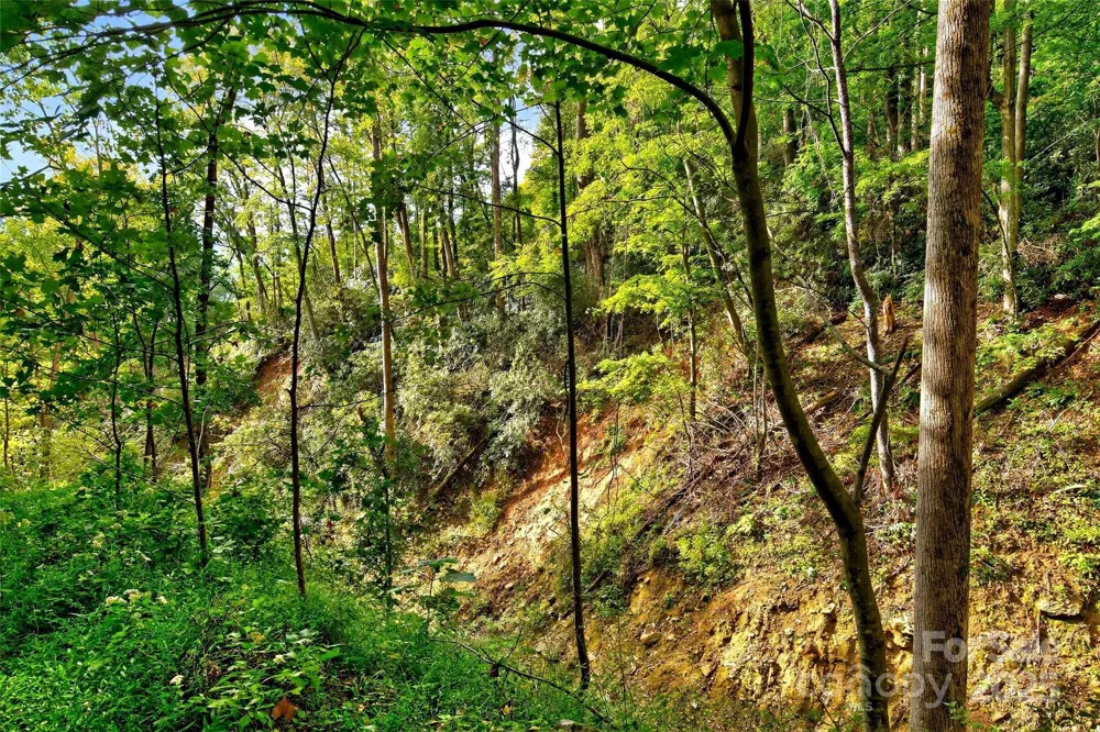 99999 Rocky Branch Trail Marion, NC 28752