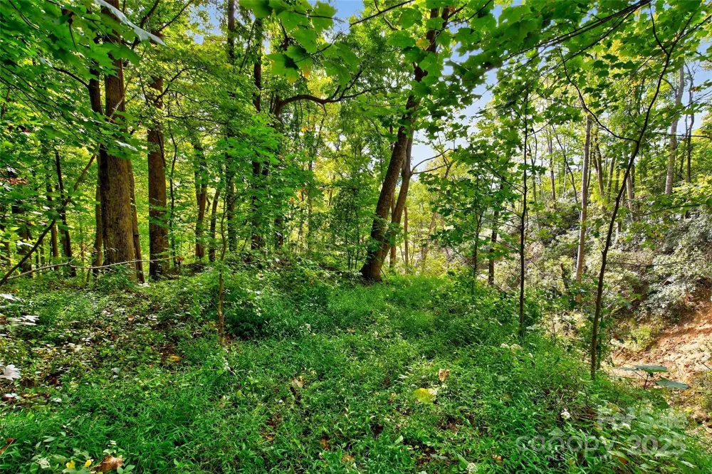 99999 Rocky Branch Trail Marion, NC 28752