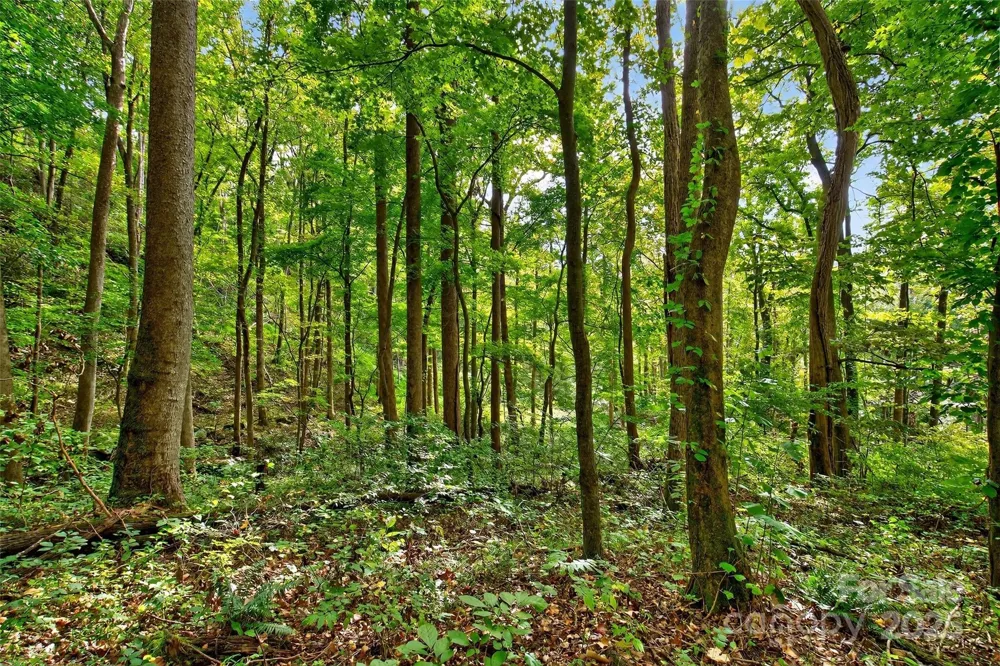 99999 Rocky Branch Trail Marion, NC 28752