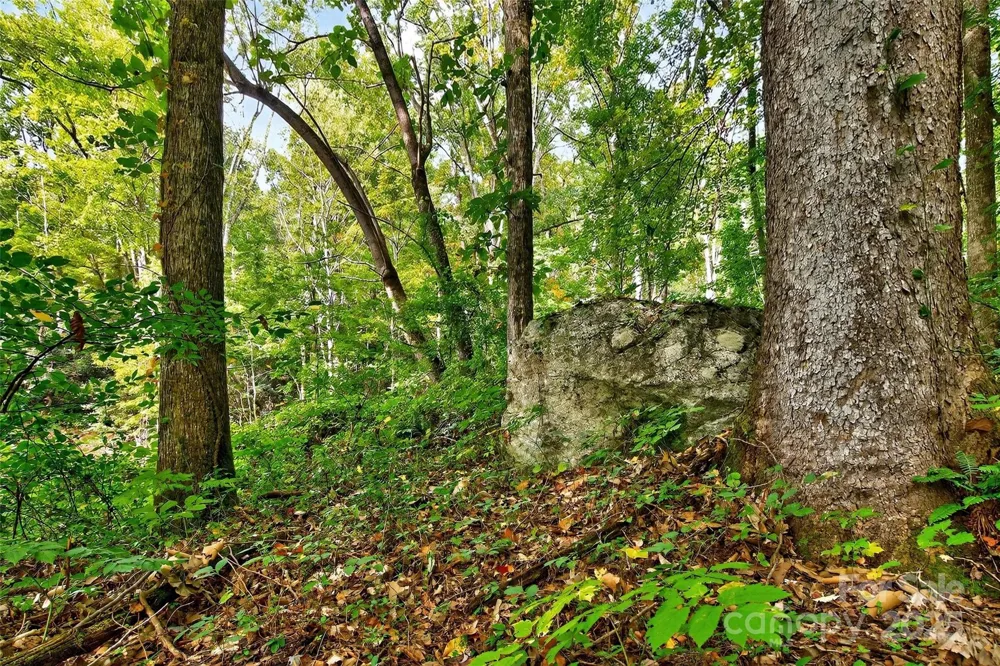 99999 Rocky Branch Trail Marion, NC 28752