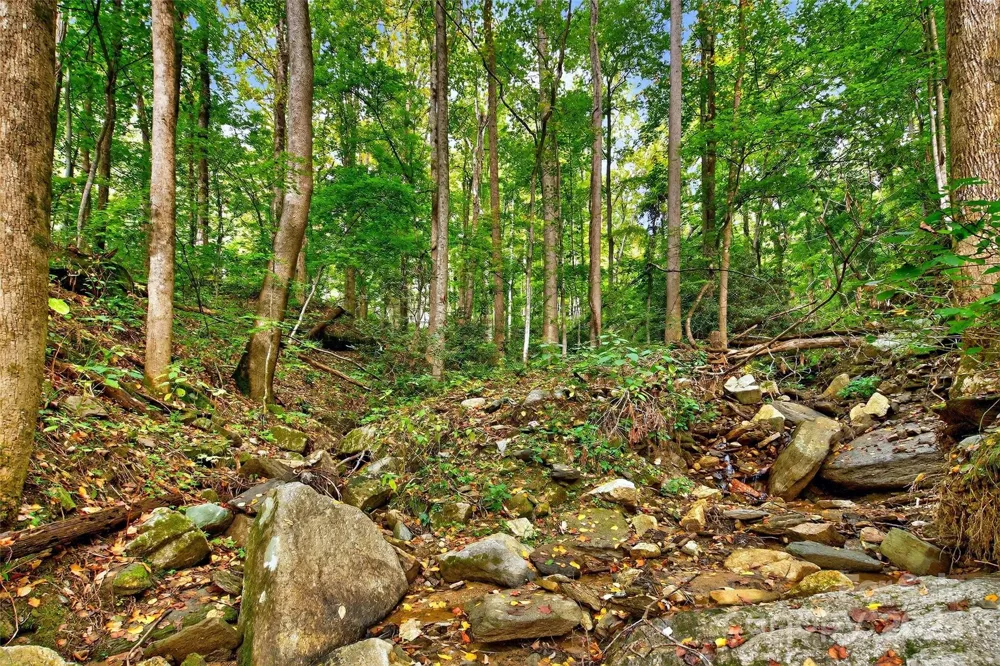99999 Rocky Branch Trail Marion, NC 28752