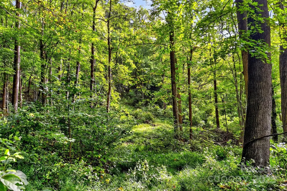 99999 Rocky Branch Trail Marion, NC 28752
