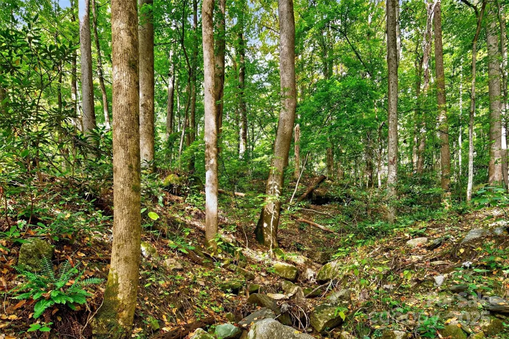 99999 Rocky Branch Trail Marion, NC 28752