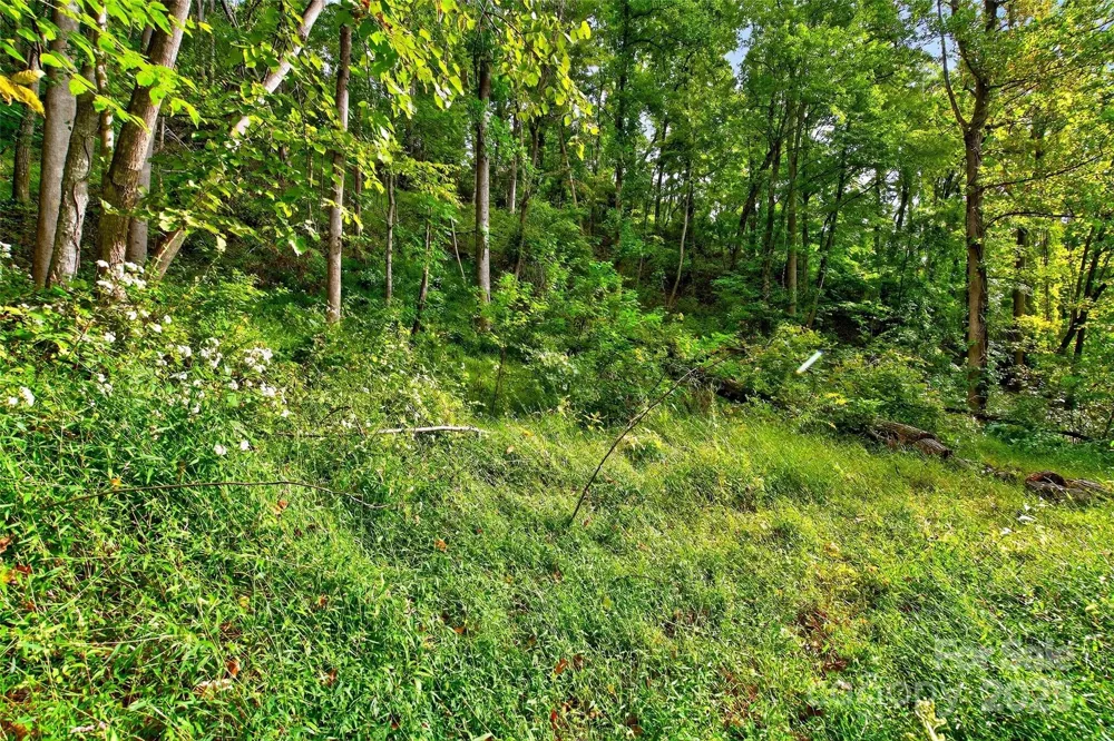 99999 Rocky Branch Trail Marion, NC 28752