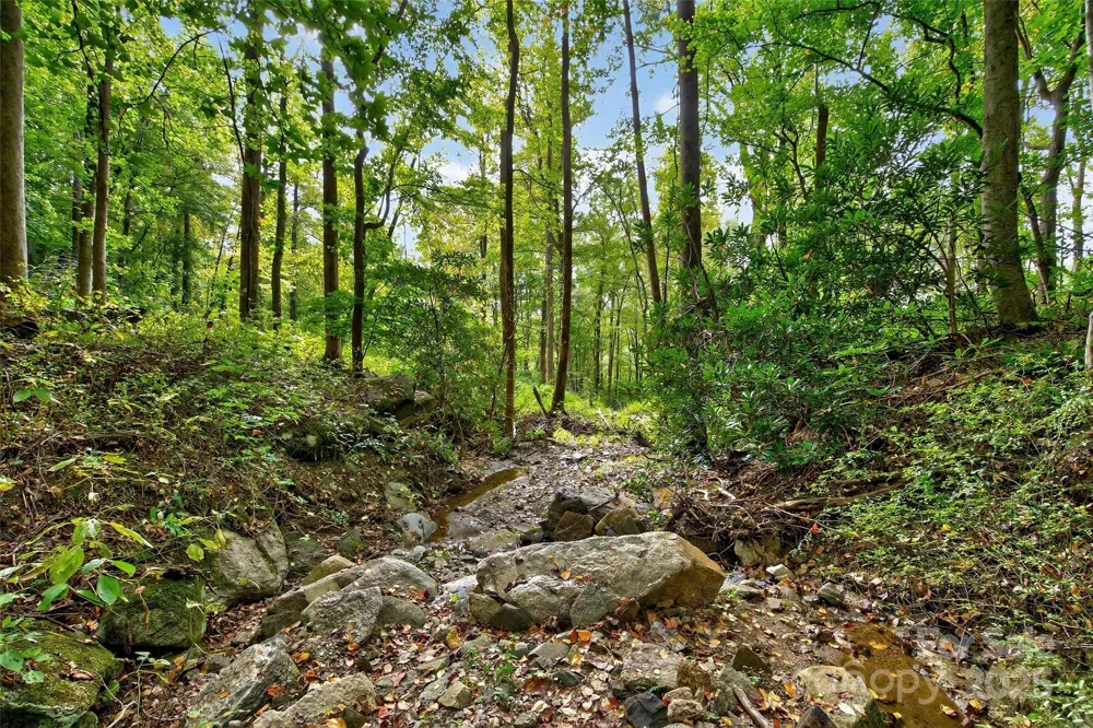99999 Rocky Branch Trail Marion, NC 28752