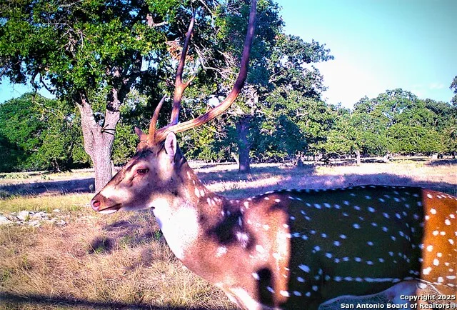 510 Dead End Rd. Mountain Home, TX 78058