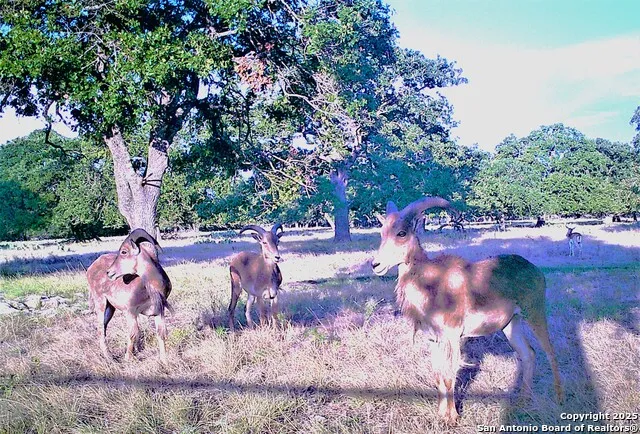 510 Dead End Rd. Mountain Home, TX 78058