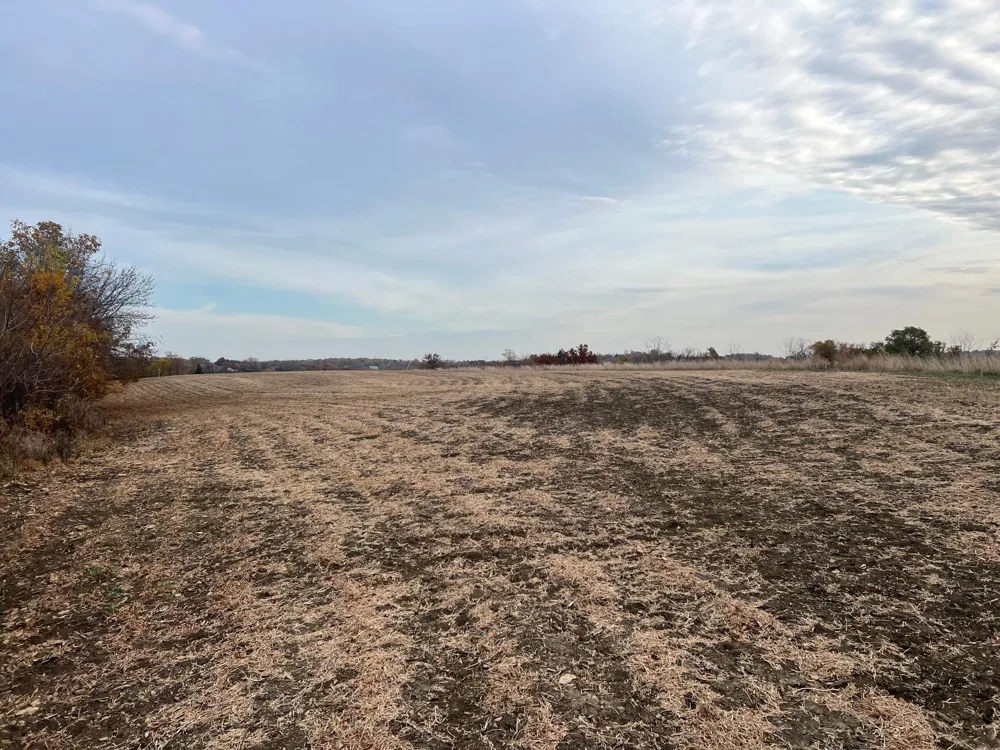 tbd- County 24 Boulevard Cannon Falls, MN 55009