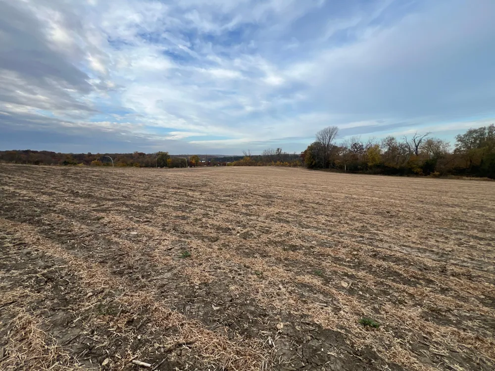 tbd- County 24 Boulevard Cannon Falls, MN 55009