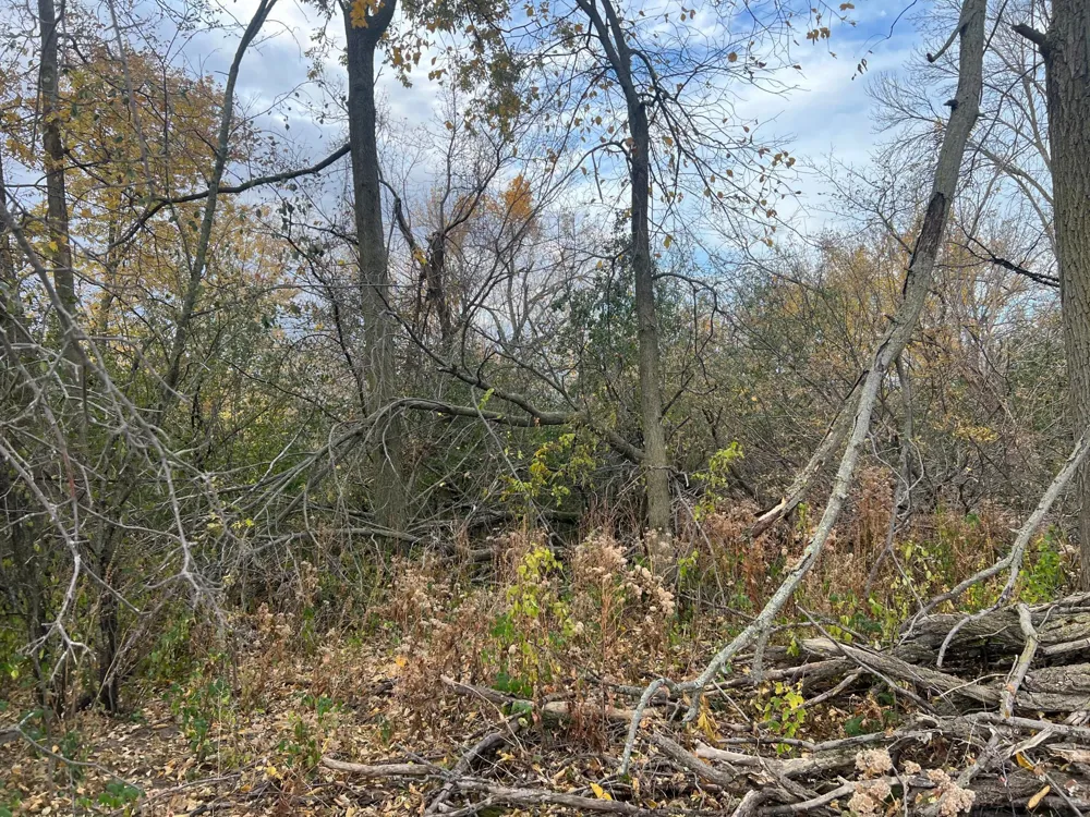 tbd- County 24 Boulevard Cannon Falls, MN 55009