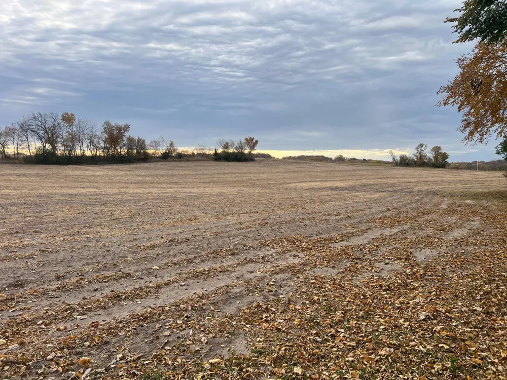 tbd- County 24 Boulevard Cannon Falls, MN 55009
