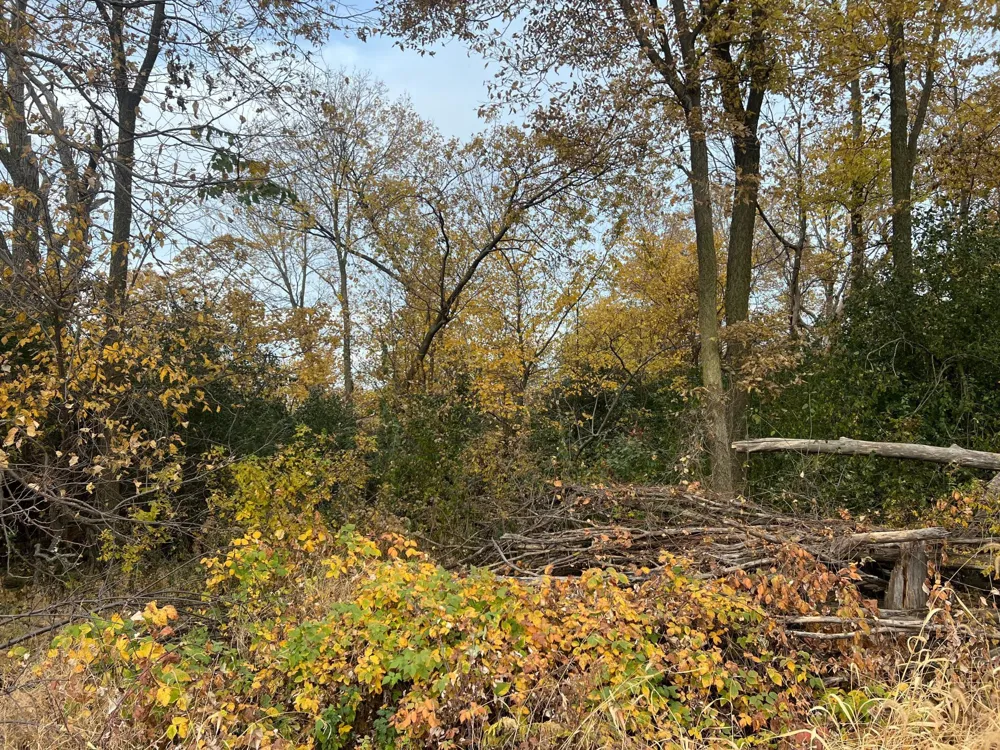 tbd- County 24 Boulevard Cannon Falls, MN 55009