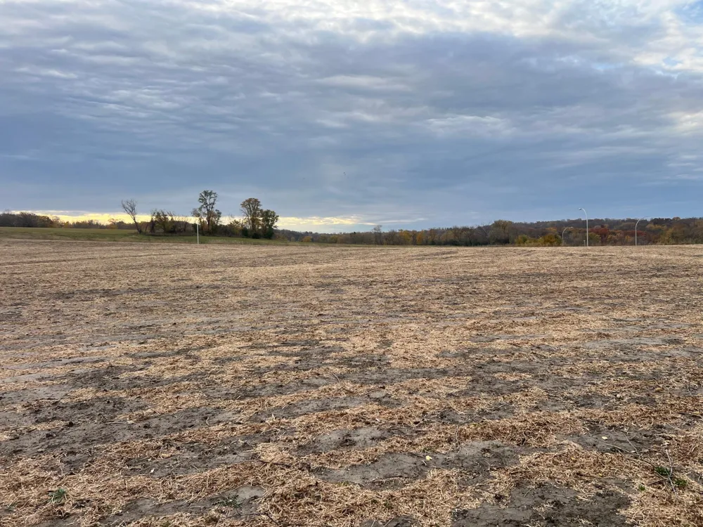 tbd- County 24 Boulevard Cannon Falls, MN 55009