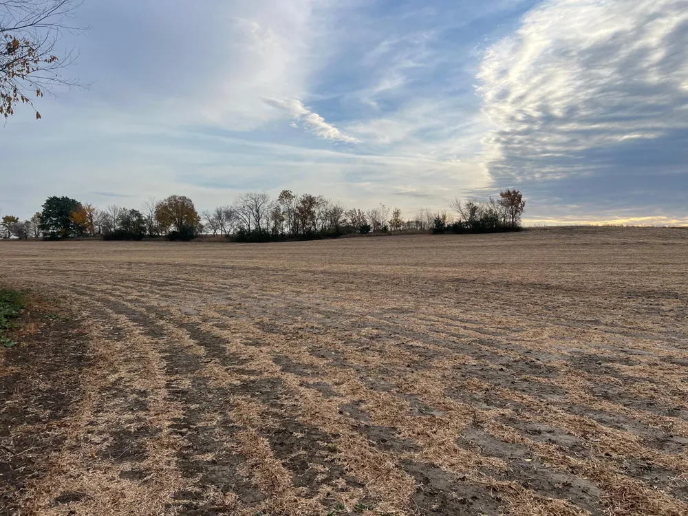 tbd- County 24 Boulevard Cannon Falls, MN 55009