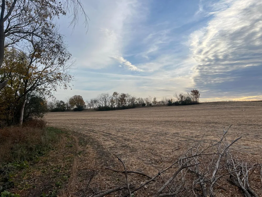 tbd- County 24 Boulevard Cannon Falls, MN 55009