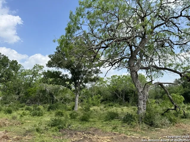 2337 Paisano Trl Beeville, TX 78102