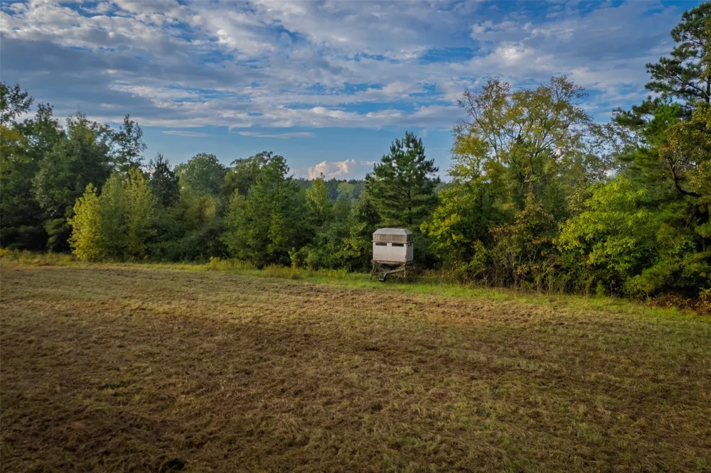 FM 1998 Karnack, TX 75661